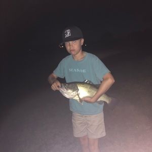 Meet your Posher, Brady